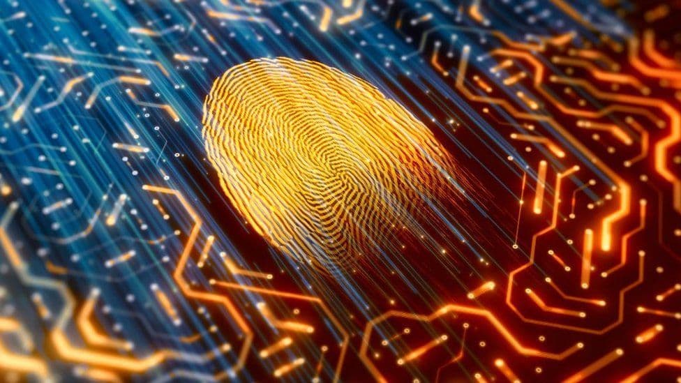 AUDIT & ANALYSIS OF PERSONAL DATA